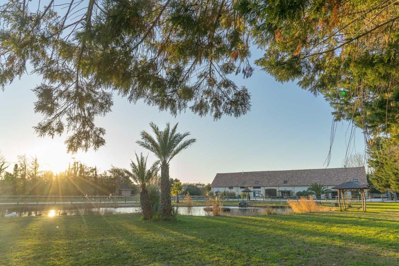 Abri Cosy - Suite Romantique En Camargue Saint-Gilles  Buitenkant foto