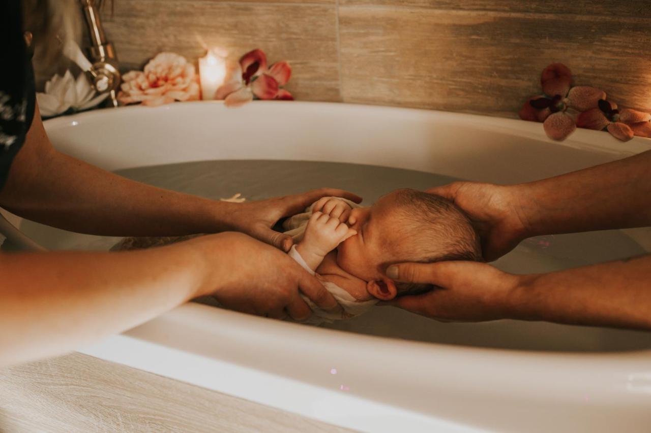 Abri Cosy - Suite Romantique En Camargue Saint-Gilles  Buitenkant foto