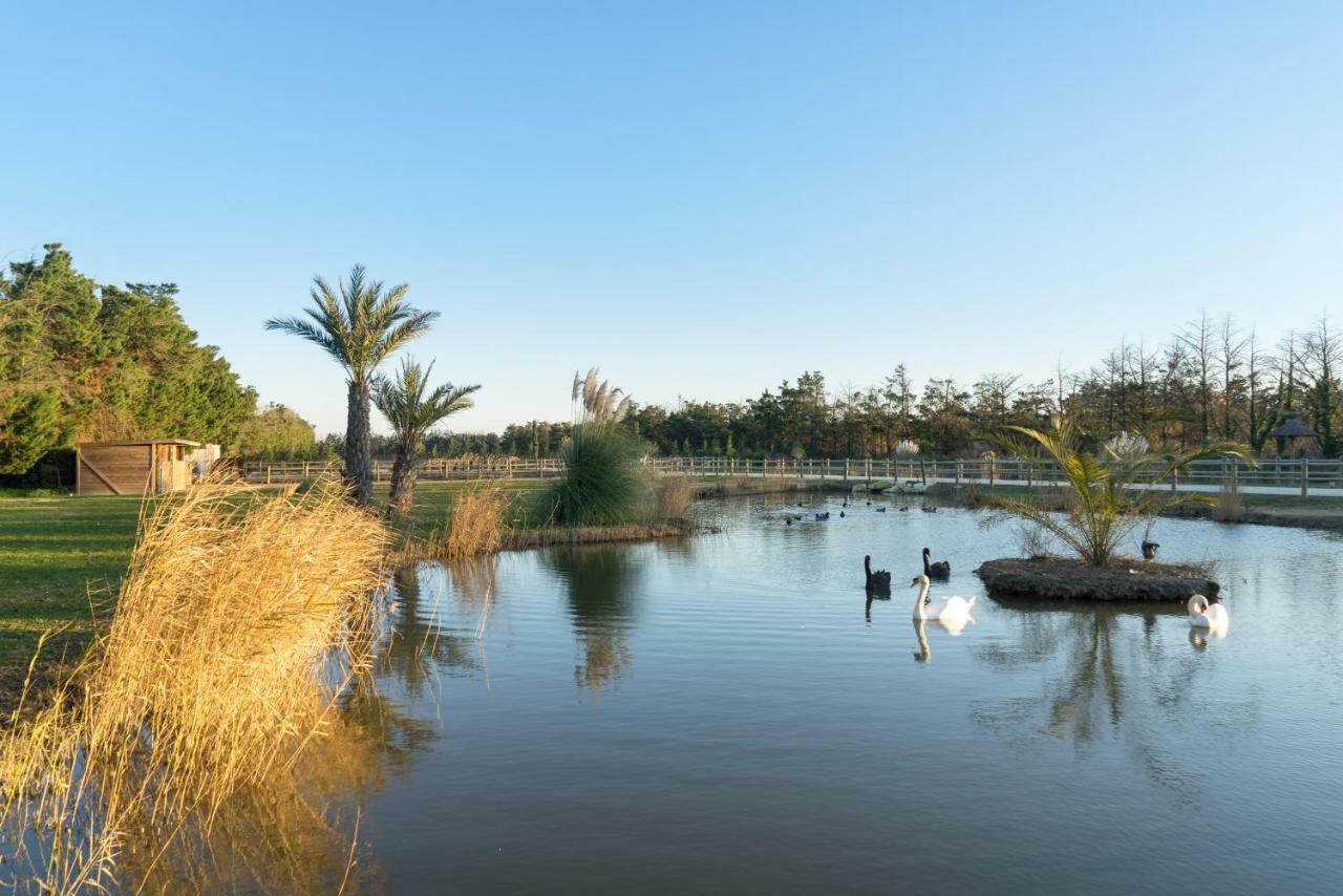 Abri Cosy - Suite Romantique En Camargue Saint-Gilles  Buitenkant foto